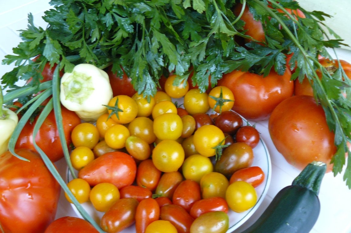 Roşii cireşe(cherry) şi dovlecei în bulion