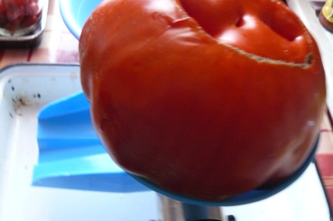 Roşii cireşe(cherry) şi dovlecei în bulion