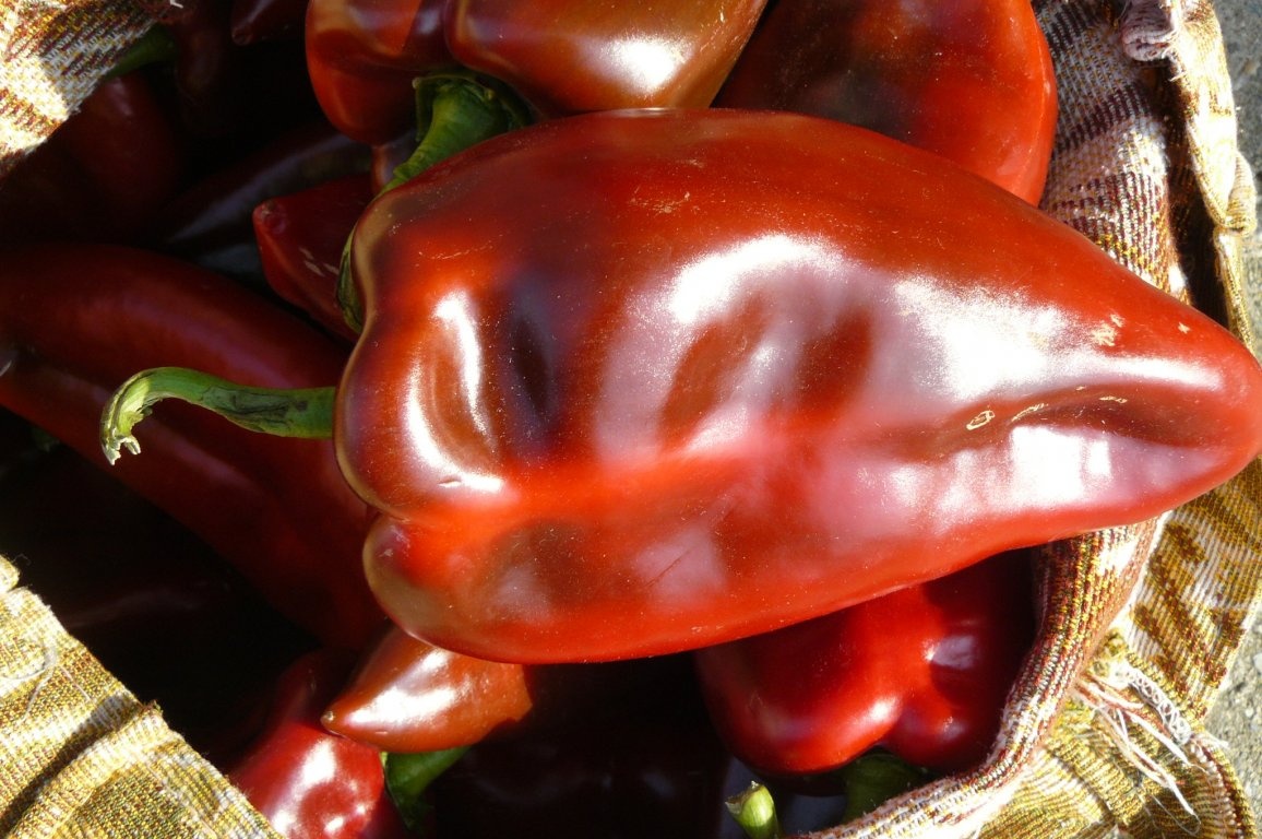 Cei mai buni ardei capia pentru iarnă