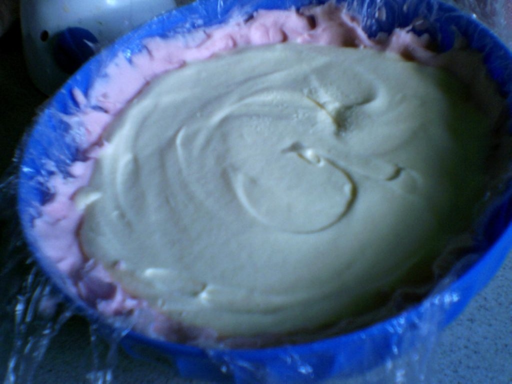 Prajitura Alaska cu negresa