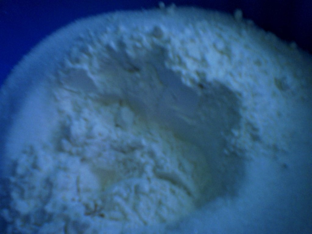 Chec tunel cu fructe