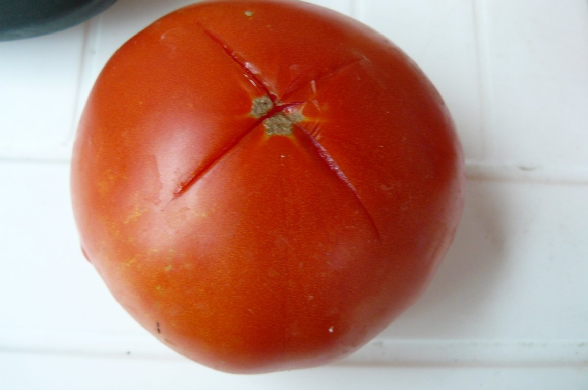 Roşii şi ardei pentru ciorbe