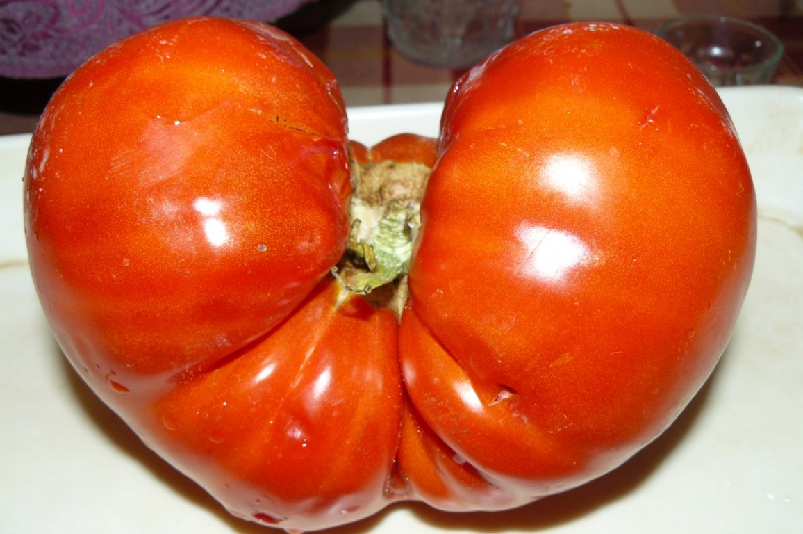 Roşii şi ardei pentru ciorbe