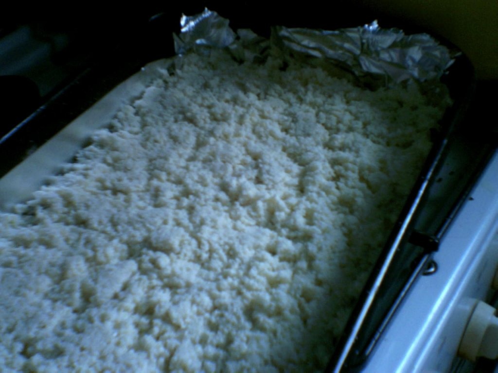 Negresa cu nuca de cocos