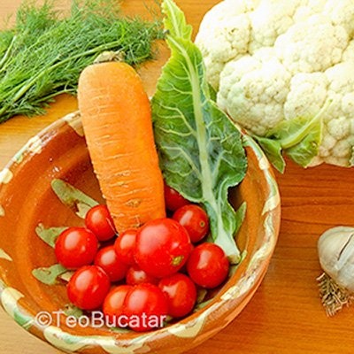 Piept umplut si conopida sotata