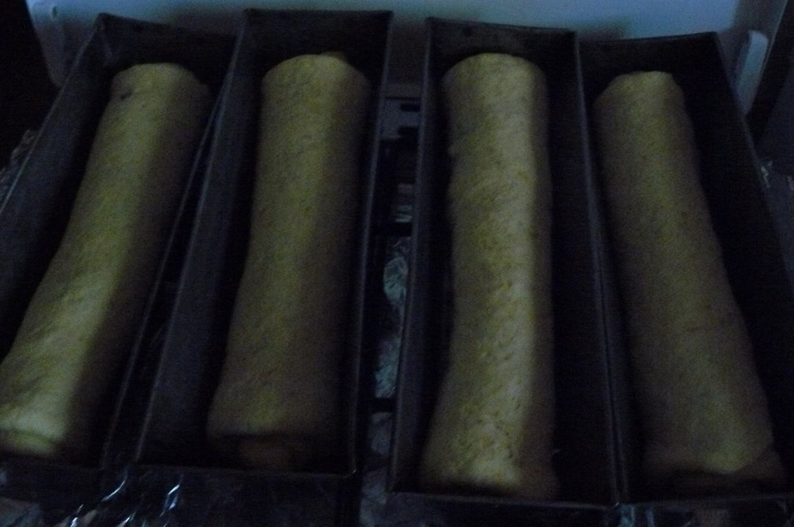 Cozonăceii mei cu mac şi nucă