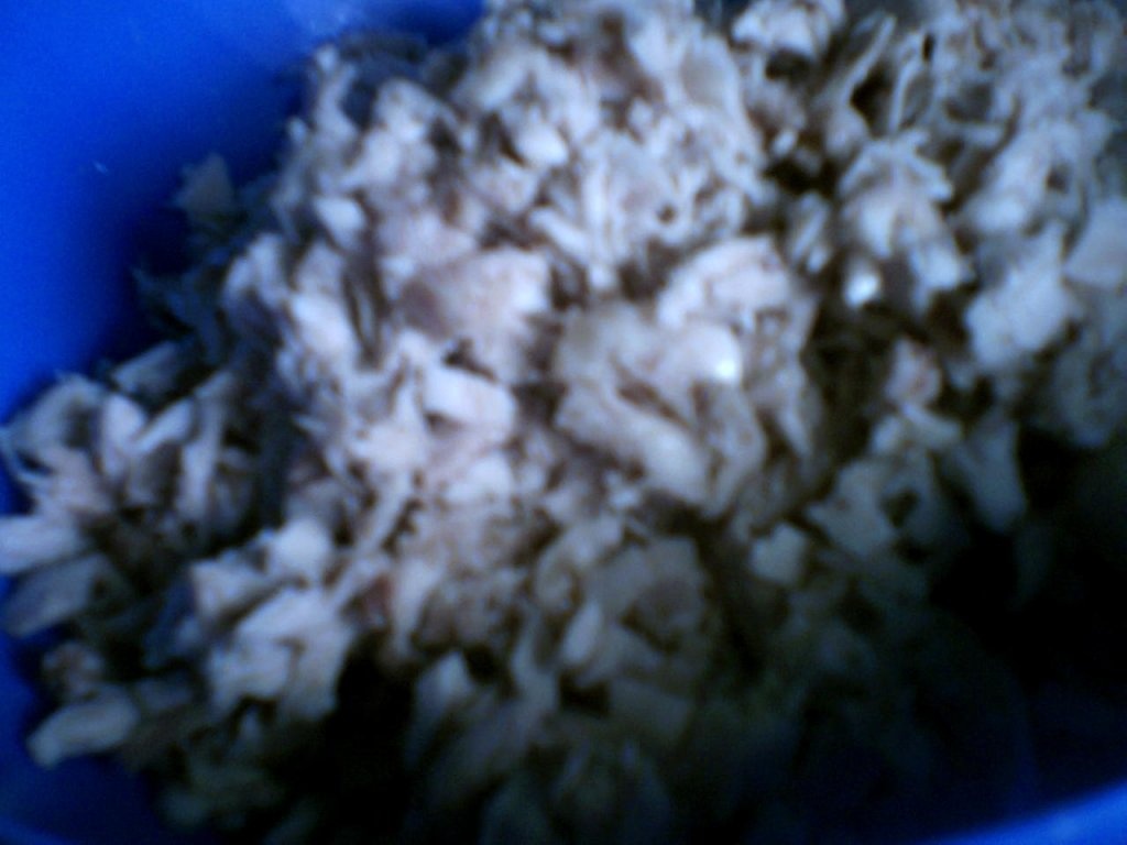 Placinta de pui (kotopita)