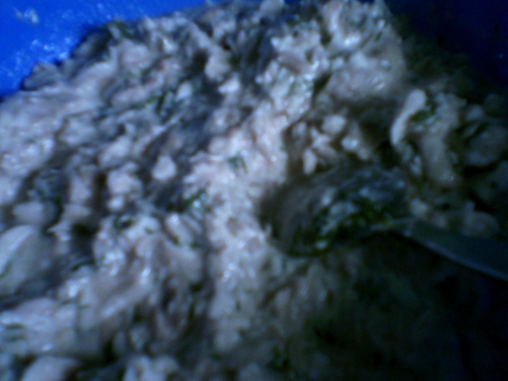 Placinta de pui (kotopita)