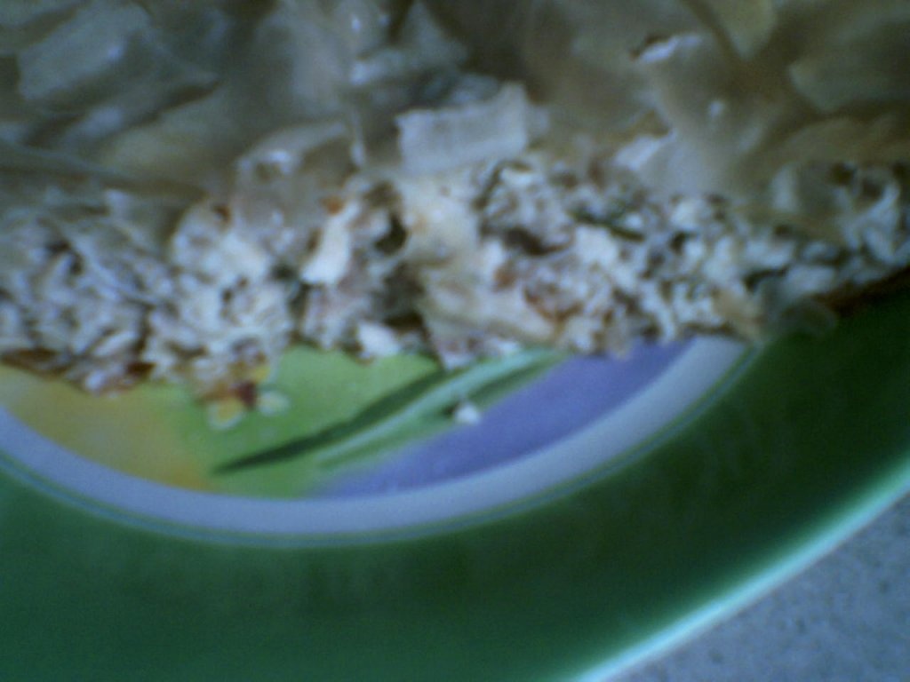 Placinta de pui (kotopita)