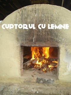 Curcan umplut, la cuptor cu lemne
