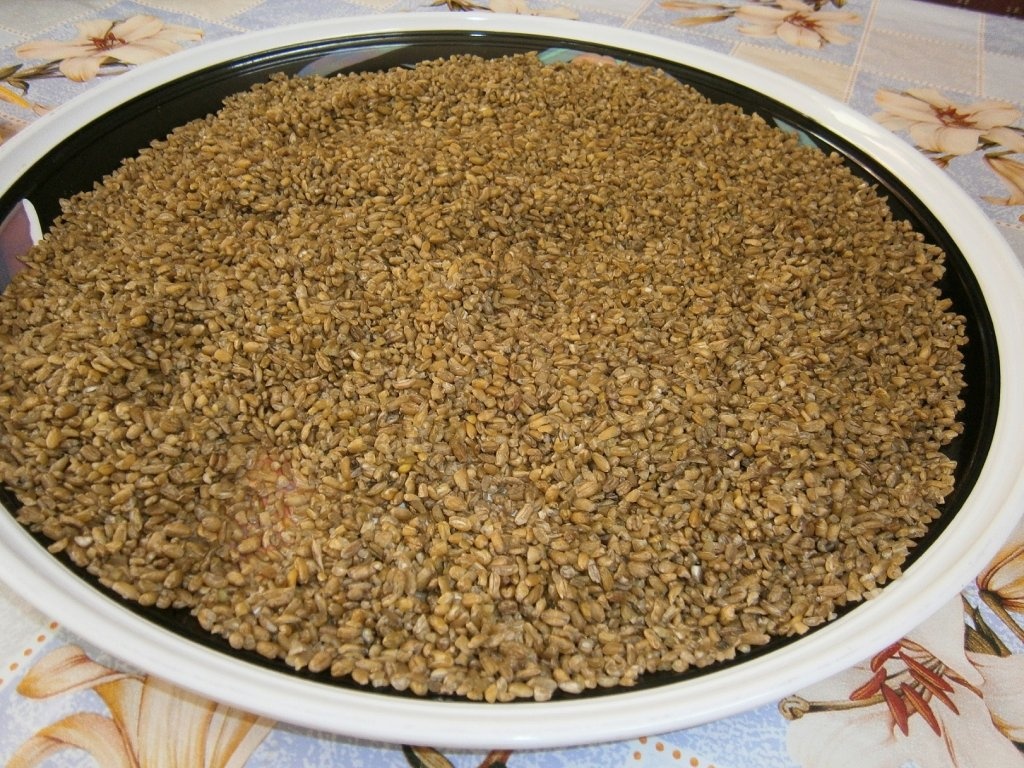 Freekeh cu pui