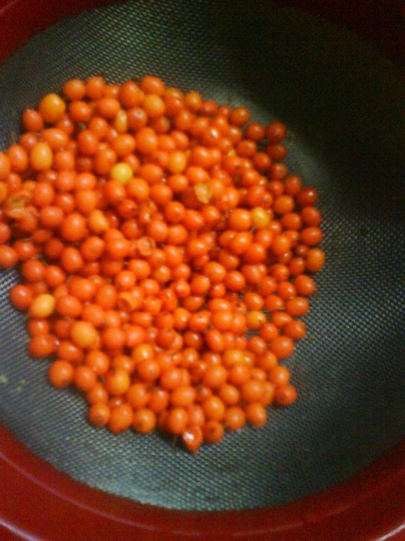 Catina cu miere de albine