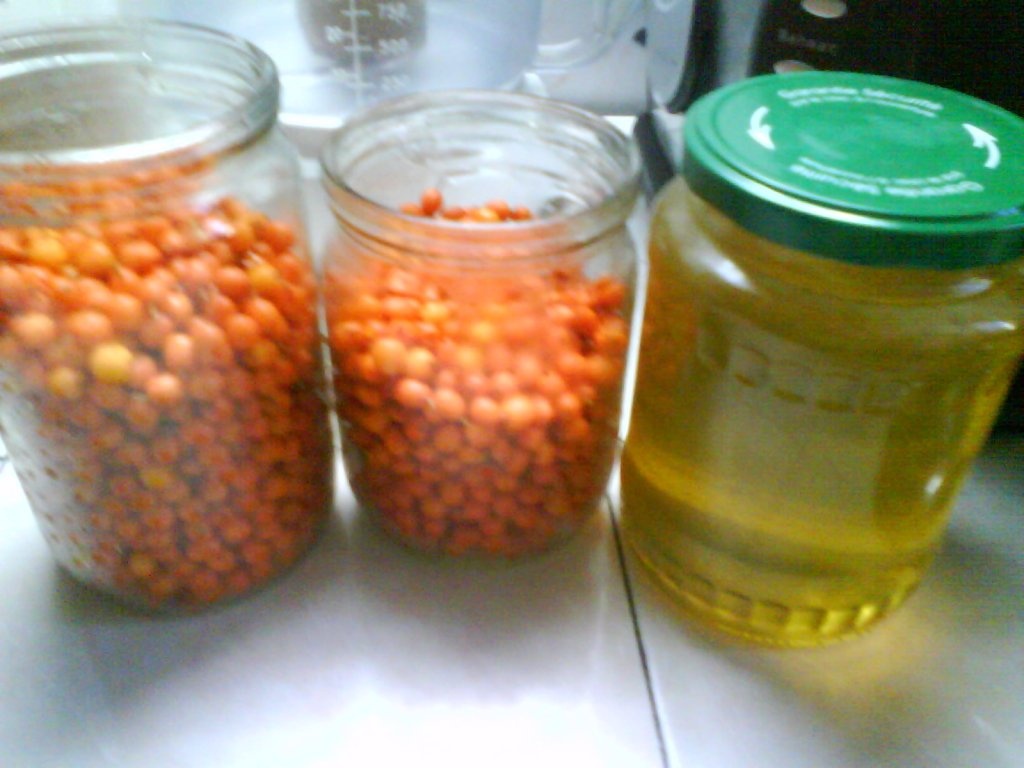 Catina cu miere de albine