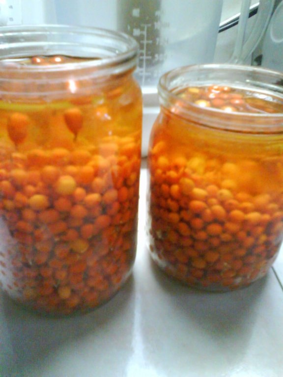 Catina cu miere de albine