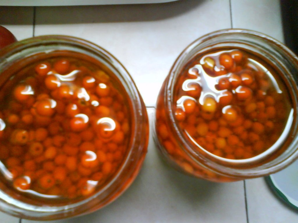 Catina cu miere de albine