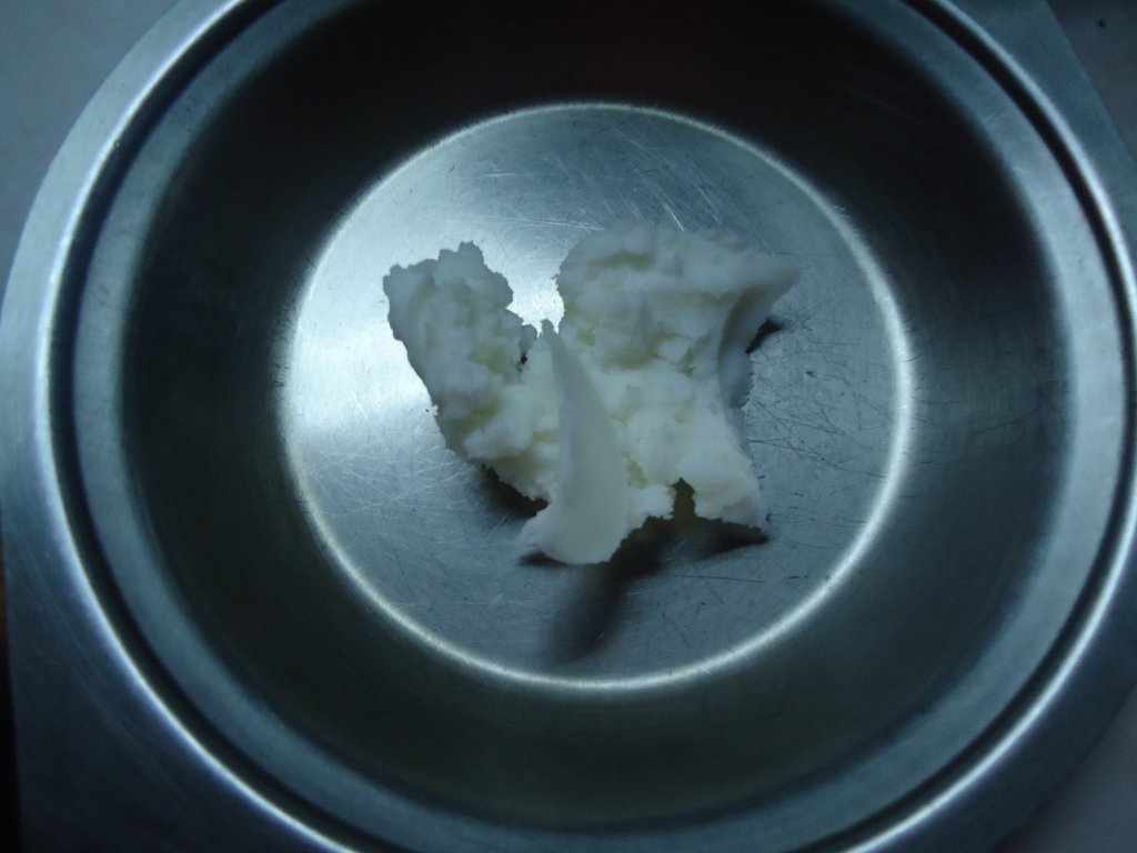 Friptura de rata cu sos de fructe de padure