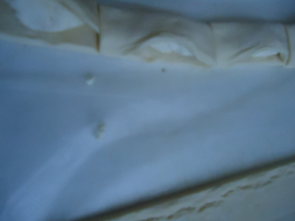 Pateuri cu branza de oi