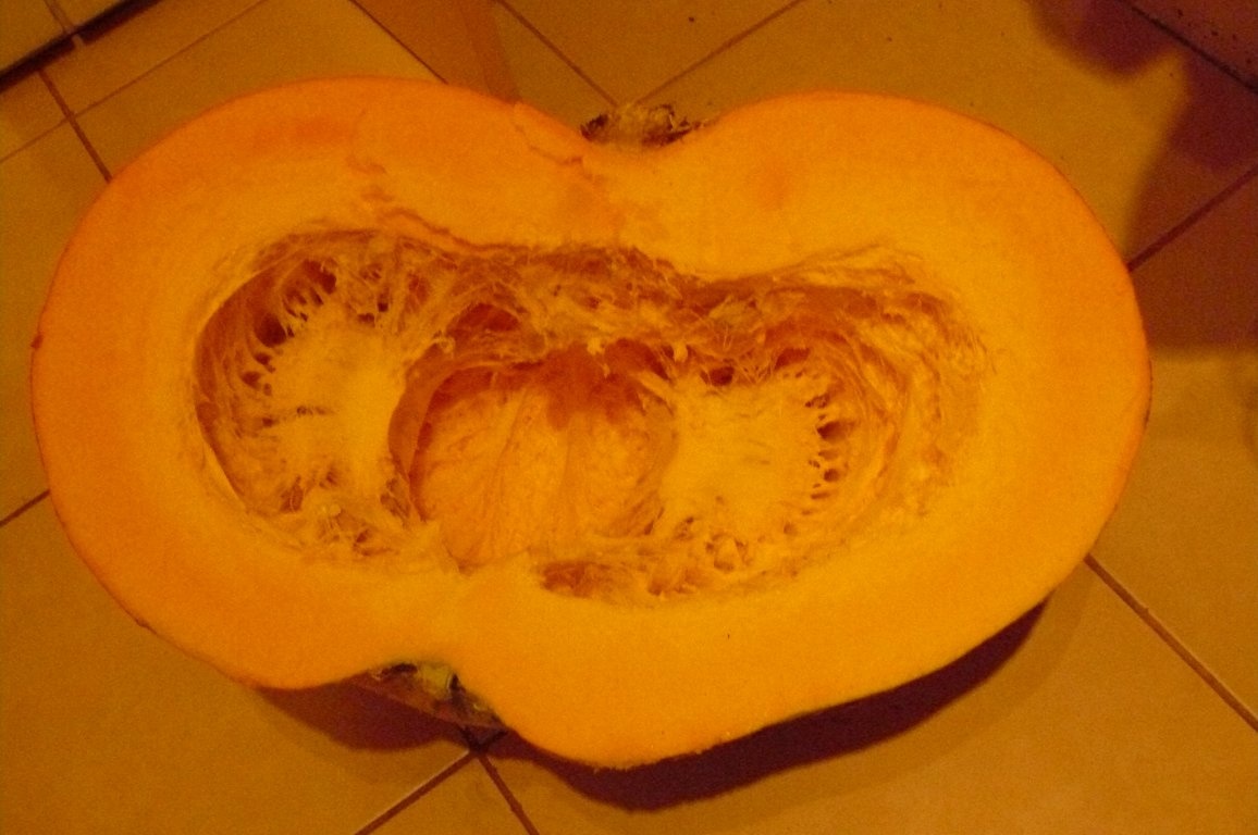 Prăjitură cu bostan(dovleac)