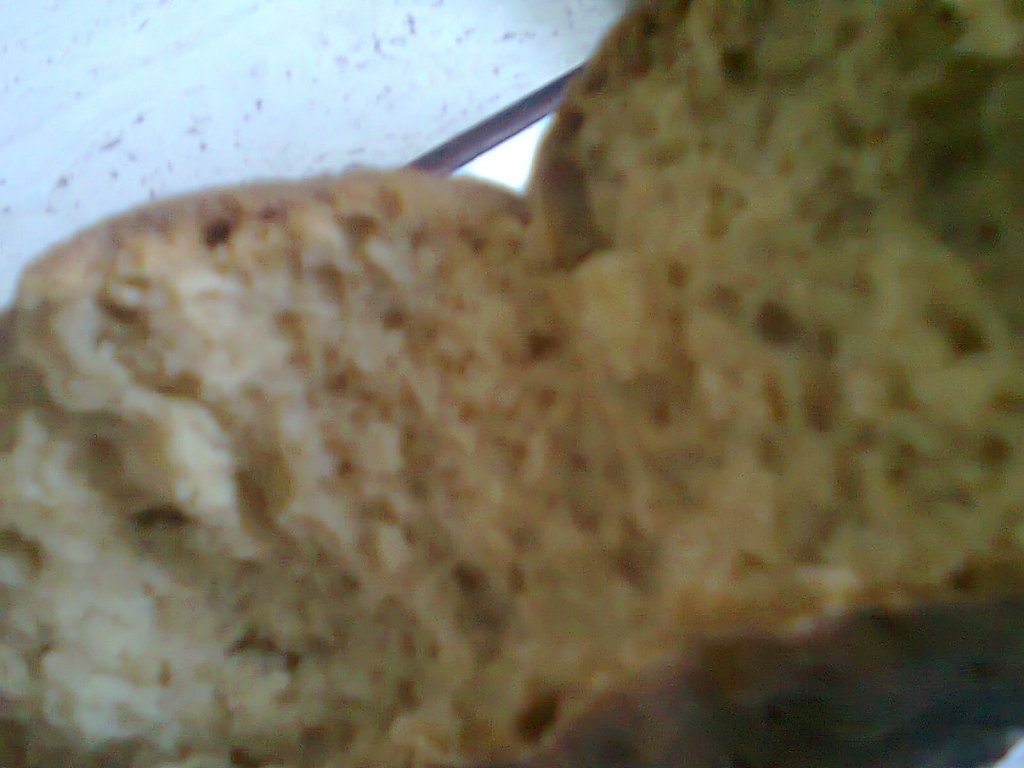 Paine nedospita (azima)