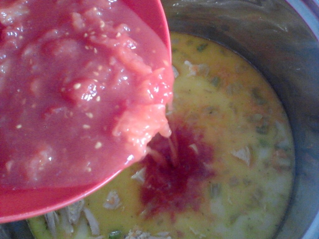 Garden tomato soup