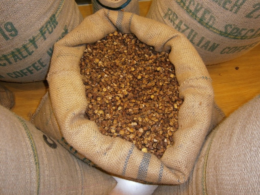 "Qishr"-Cafea yemenita cu ghimbir