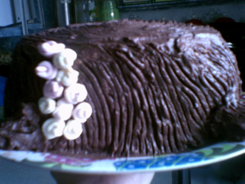 Tort Buturuga