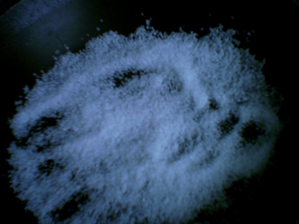 Salata de banane cu rom si frisca