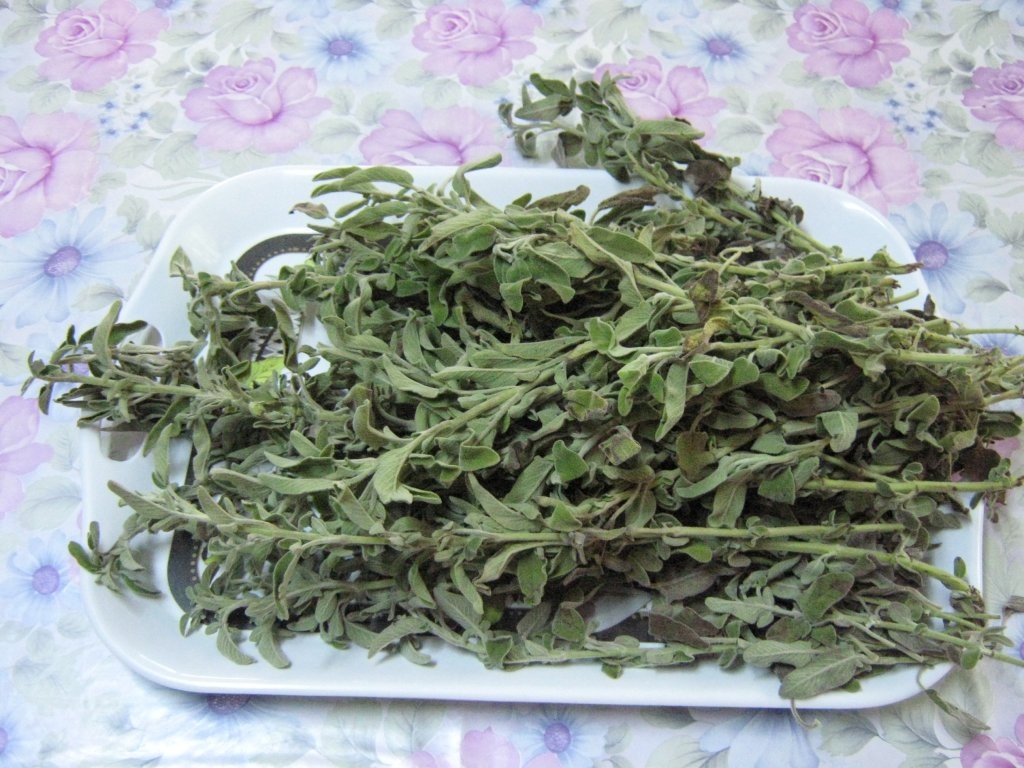 Ceai cu "maramieh"-Ceai cu Salvia officinalis