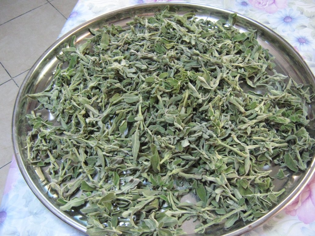 Ceai cu "maramieh"-Ceai cu Salvia officinalis