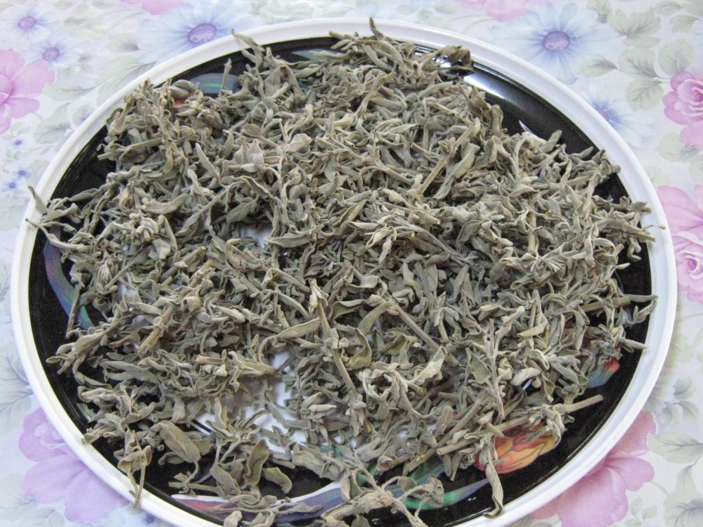 Ceai cu "maramieh"-Ceai cu Salvia officinalis