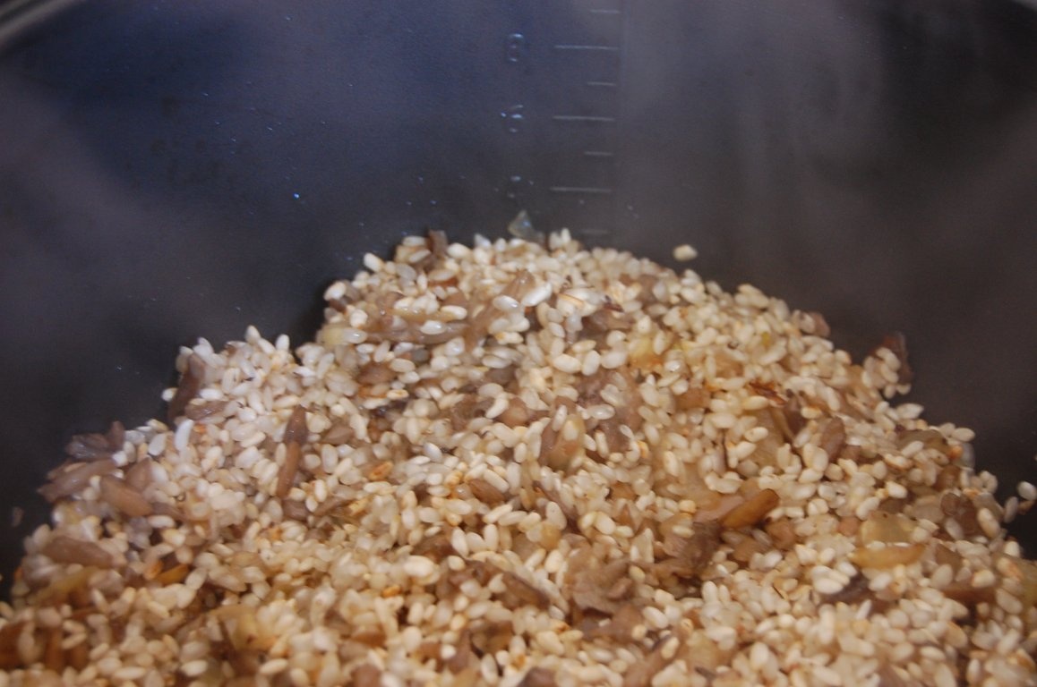 Somon cu sos de smantana/Garnitura de orez cu ciuperci