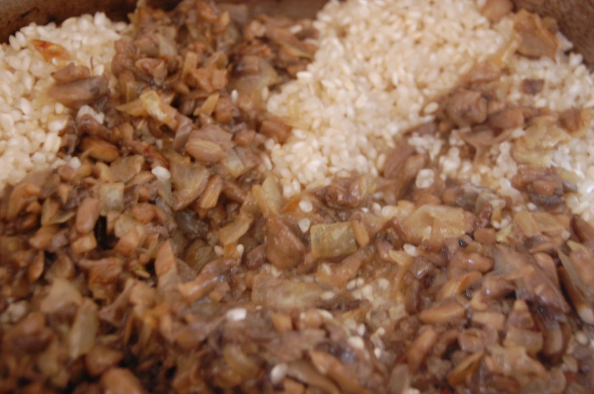 Somon cu sos de smantana/Garnitura de orez cu ciuperci