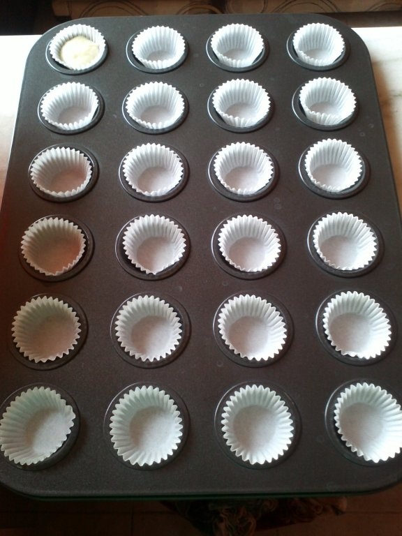 Minibriose de post cu gem