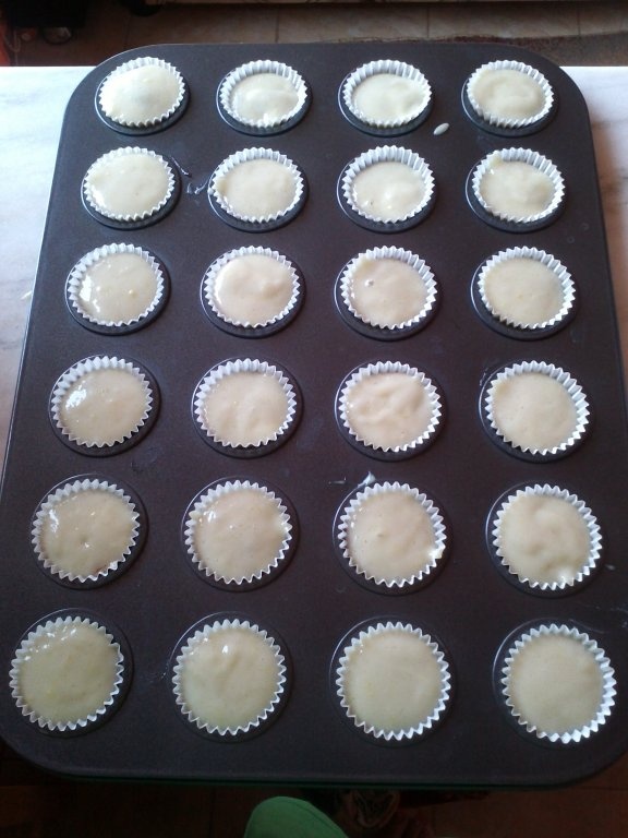 Minibriose de post cu gem