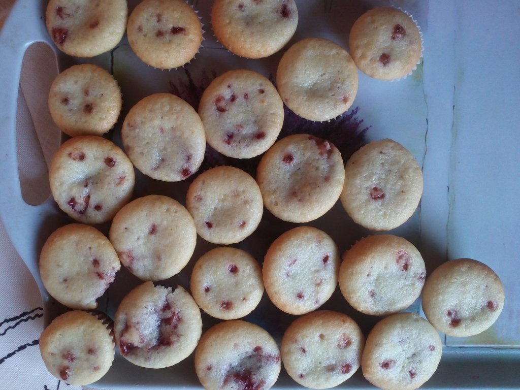 Minibriose de post cu gem