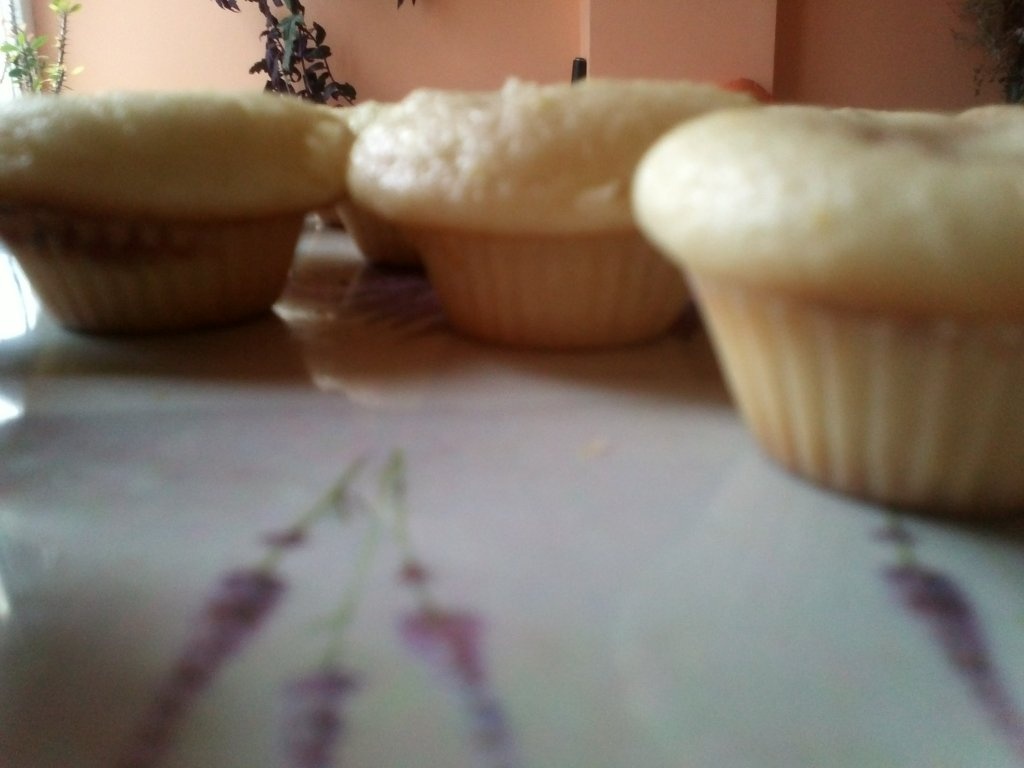 Minibriose de post cu gem