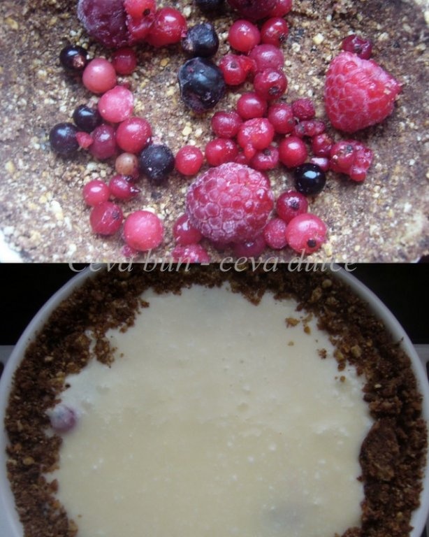 Mini -Cheesecake cu fructe de padure