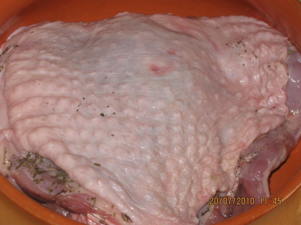 Pulpa de curcan cu ierburi aromate in vas roman