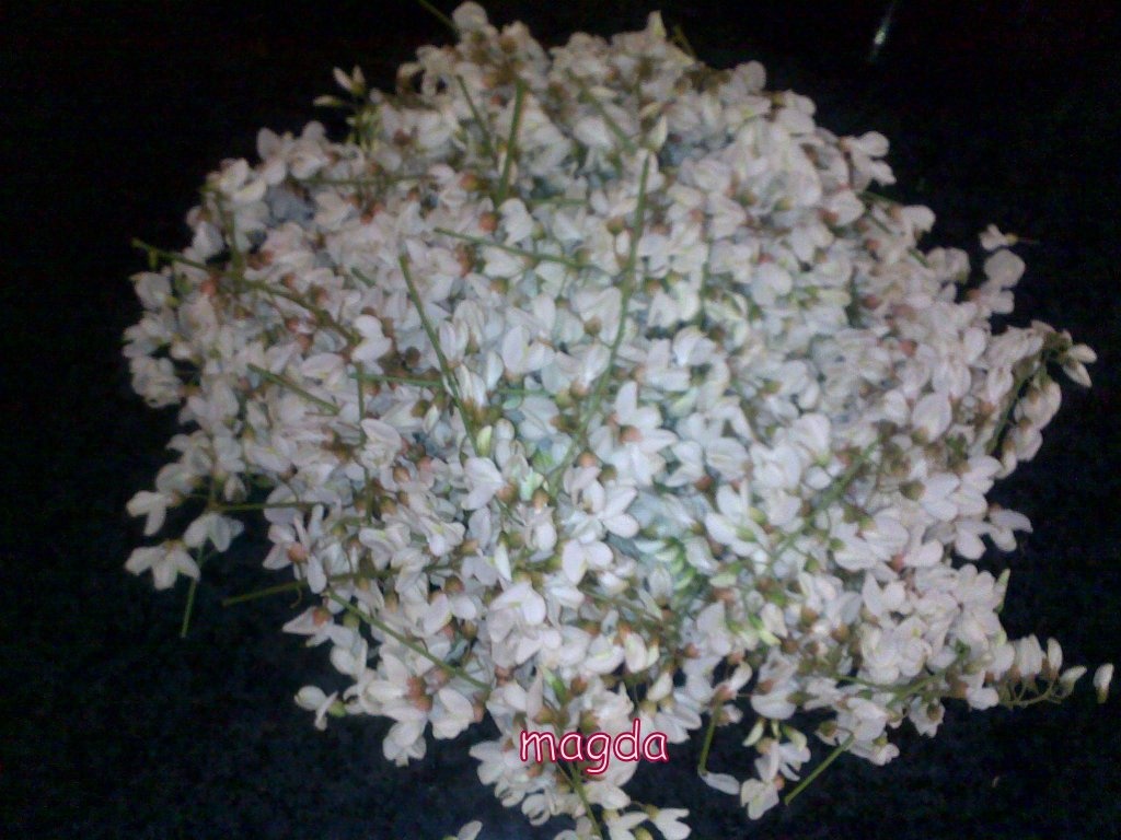 Dulceata de flori de salcam