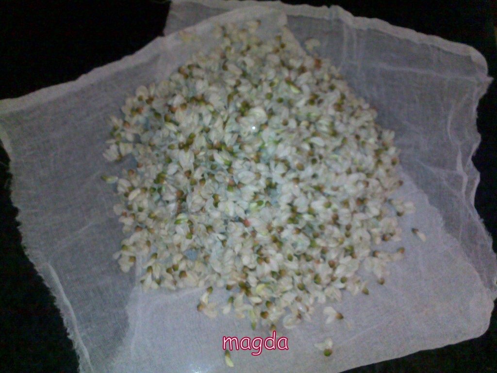 Dulceata de flori de salcam