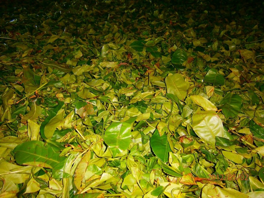 Ceai srilankez cu zahar de cocotier( coconut sugar)