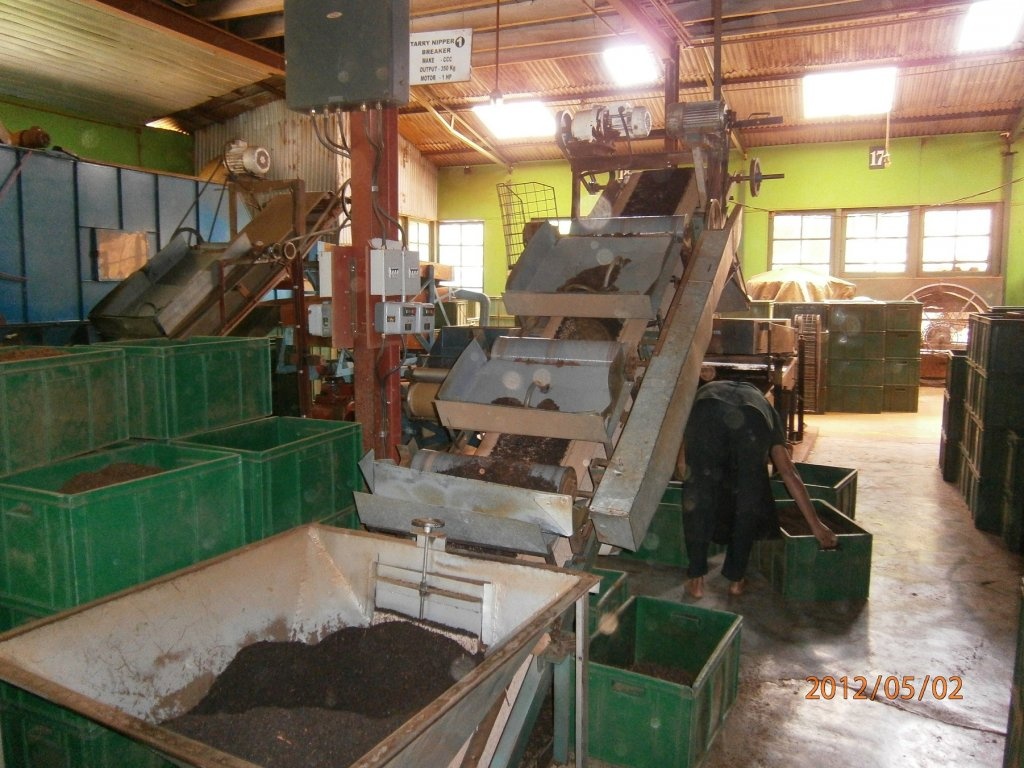 Ceai srilankez cu zahar de cocotier( coconut sugar)