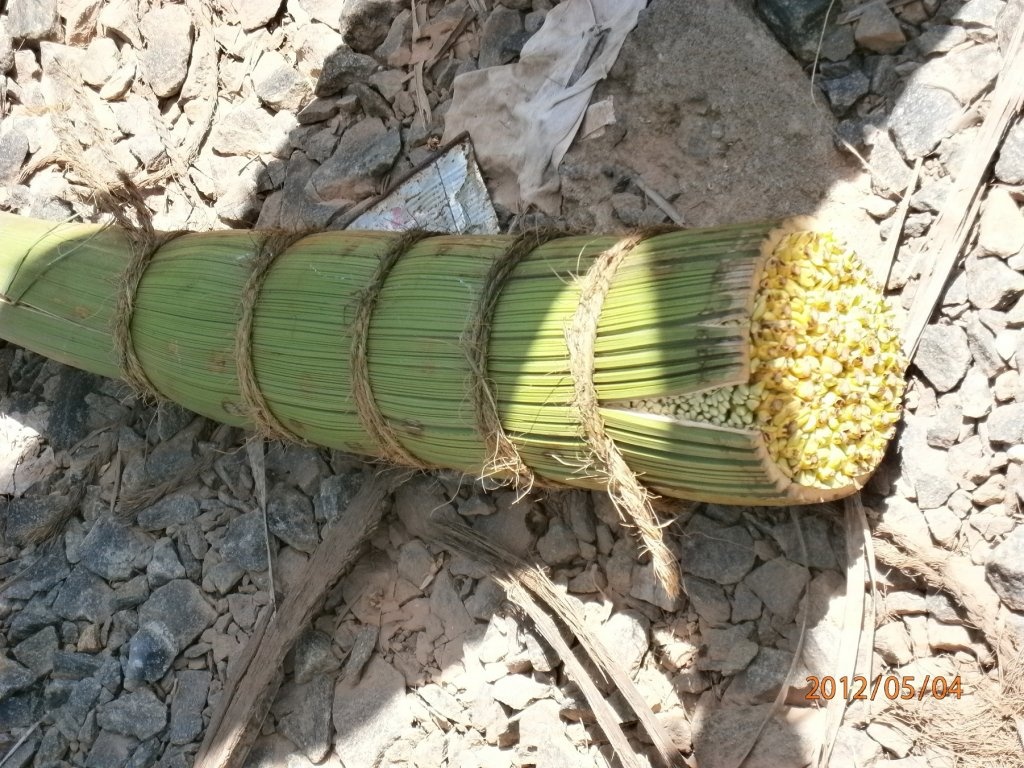 Ceai srilankez cu zahar de cocotier( coconut sugar)