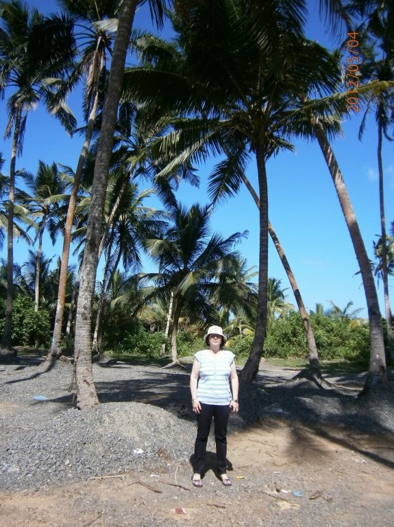 Ceai srilankez cu zahar de cocotier( coconut sugar)