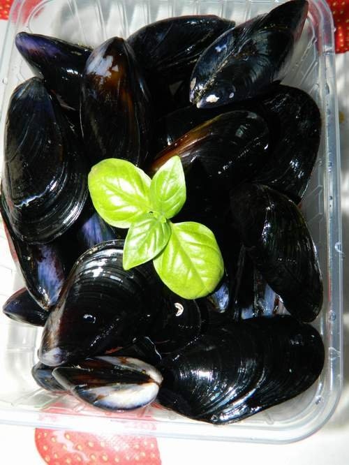 Midii cu vin si busuioc