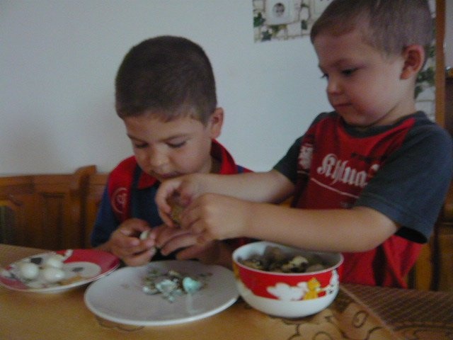 Chiftele cu oua de prepelite