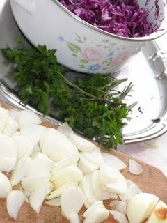 Piept de pui la gratar cu ceapa rumena si salata de varza rosie