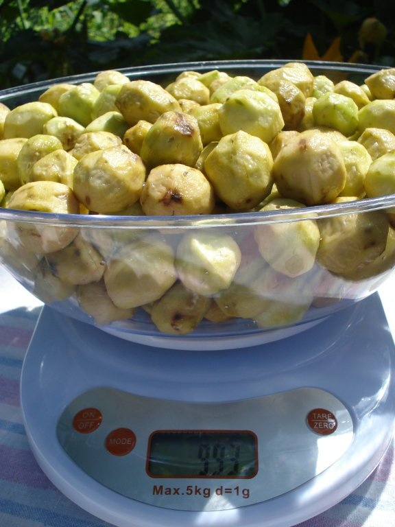 Dulceata de nuci verzi