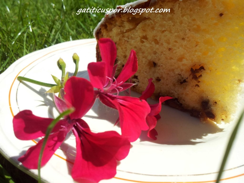 Prajitura Cu Lapte Condensat