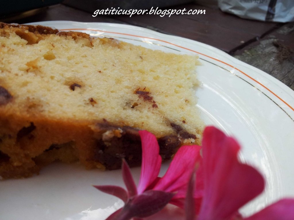 Prajitura Cu Lapte Condensat